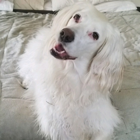 Meet your Posher, Tammy - Picture 1 of 1